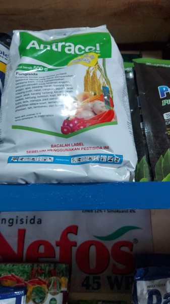 Antrcol