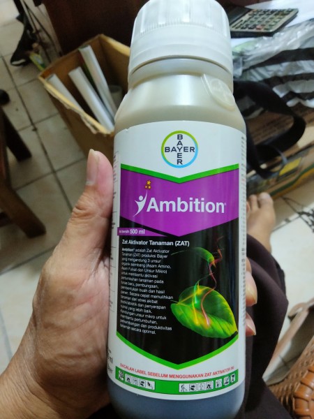 Ambition 500 ml