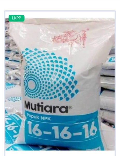 Mutiara 16 16 16