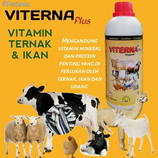 Viterna