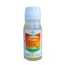 Decis1
