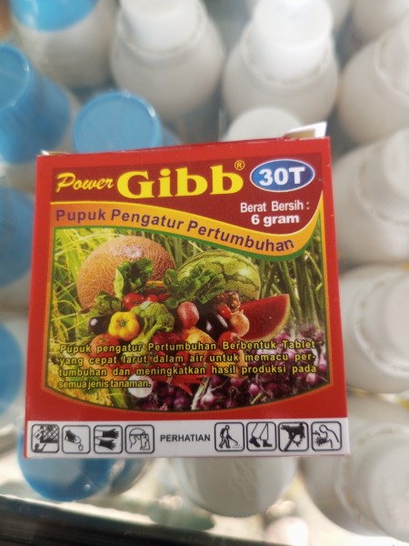 Power gibb