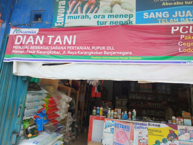 Dian Tani