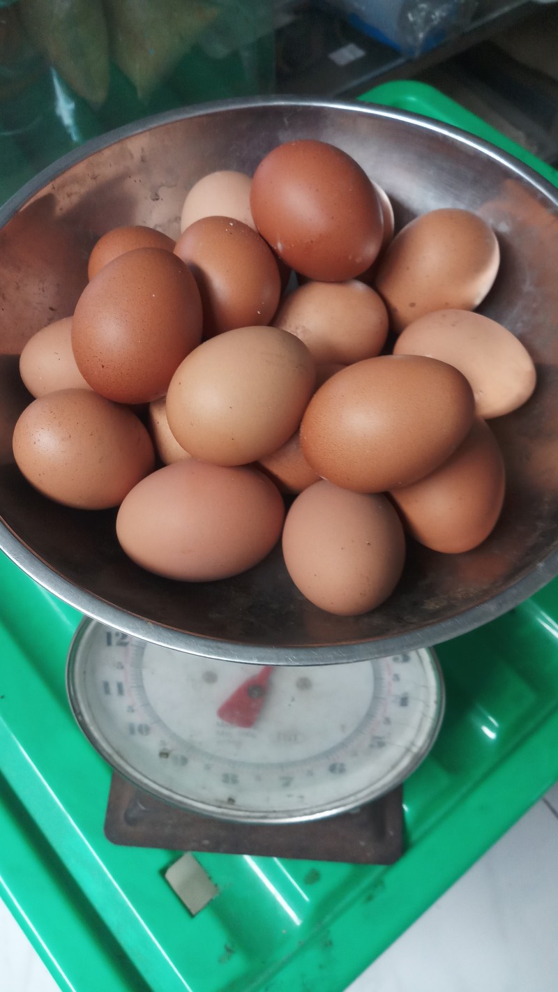 Telor