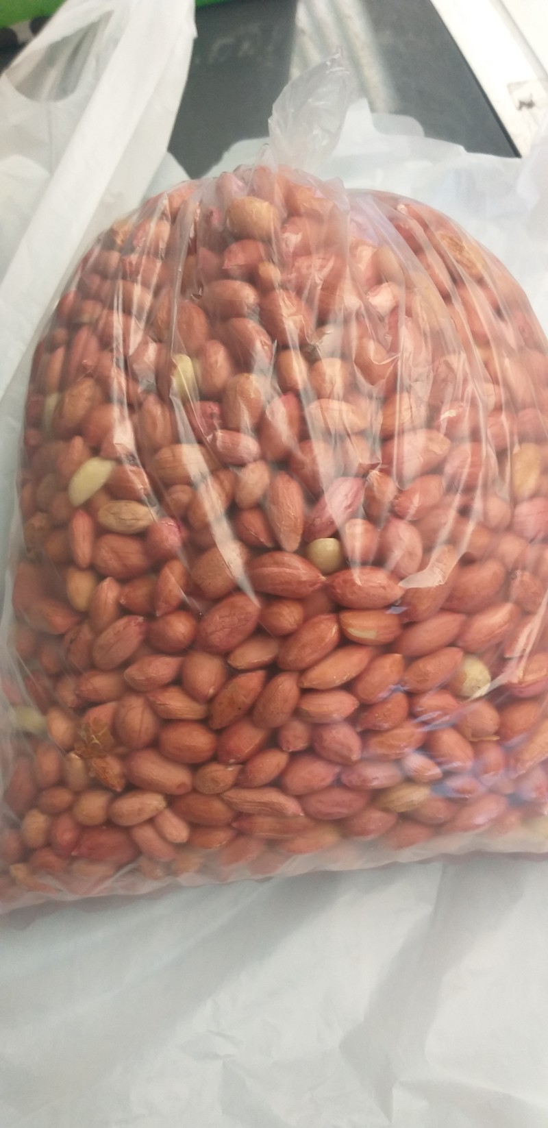 kacang brol
