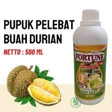 BOSTER DURIAN