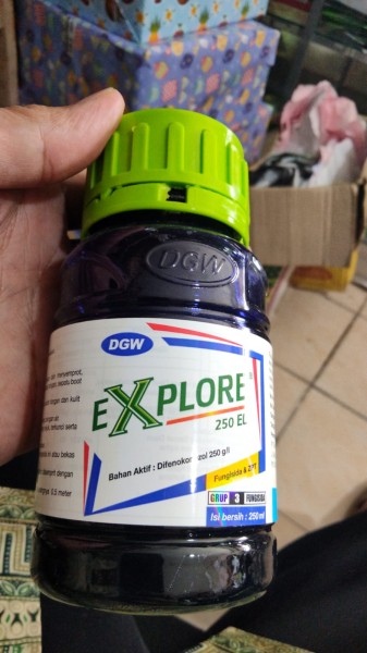 EXPLORE 250EL