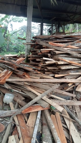 Kayu Sebetan