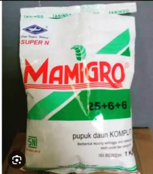 Mamigrow hijau
