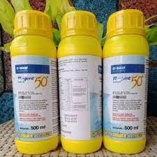 REGENT 500ML