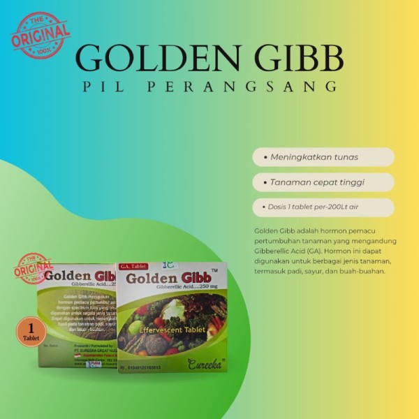BM GIBB