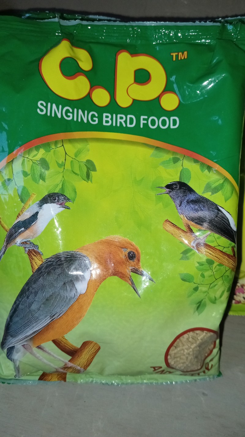 pakann burung