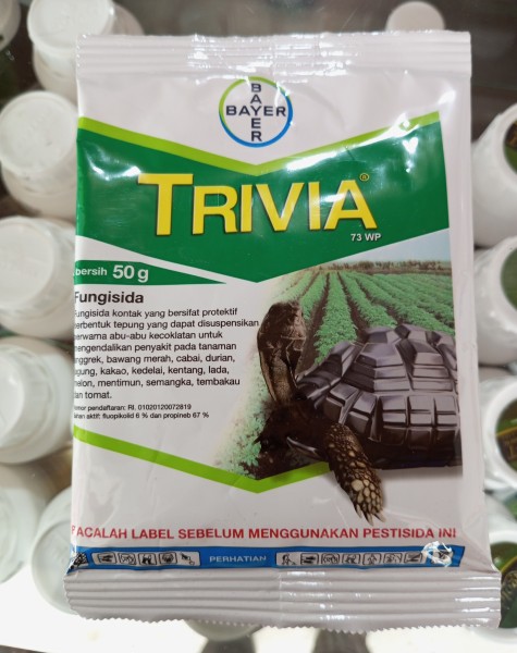 Trivia