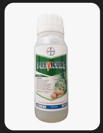 Obat Pertanian Previcur