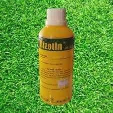 RIZOTIN 100 EC, Insektisida, Mengendalikan Hama Tanaman
