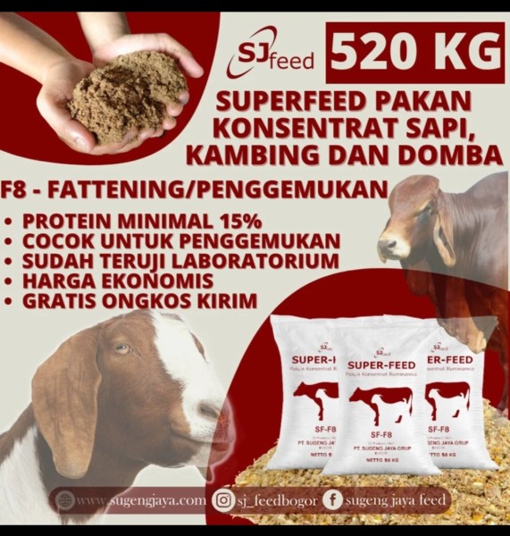 Konsentrat