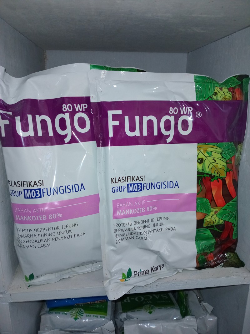 Fungo