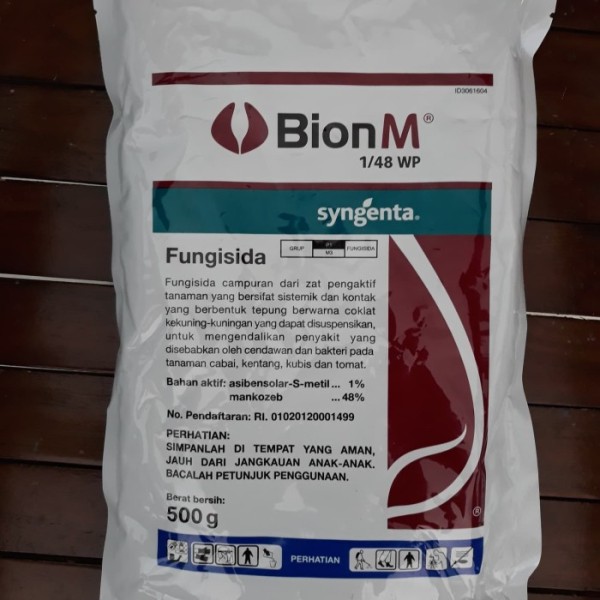 BION M 1/48 WP