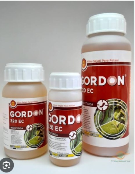 Gordon 250 ml