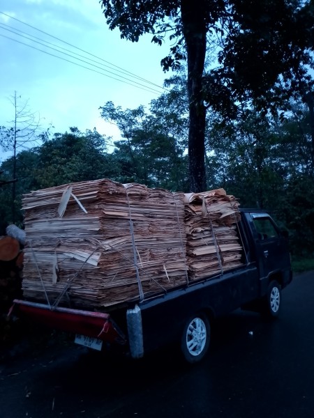 Bahan Longkor