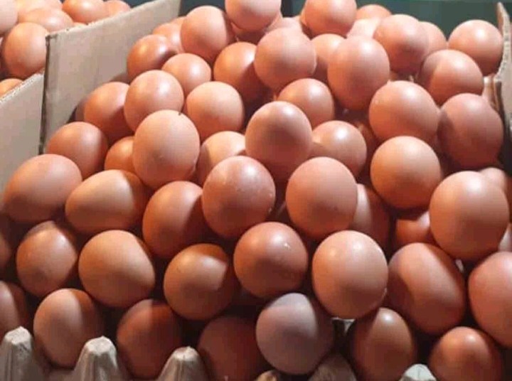 Telur