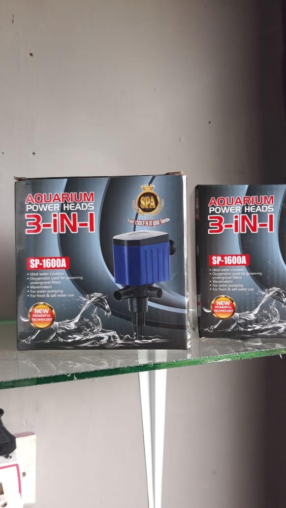 filter aquarium