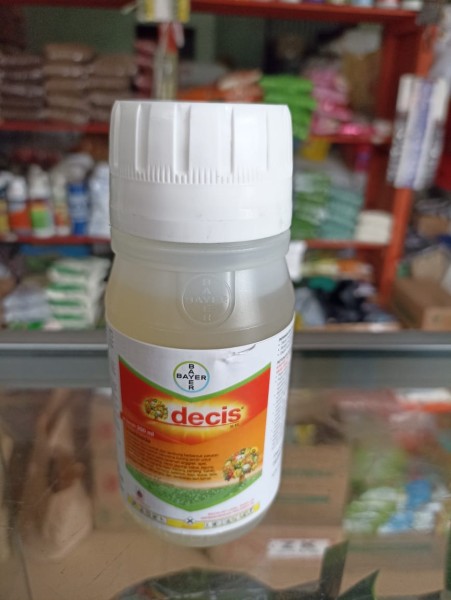 DECIS