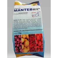 Manteb