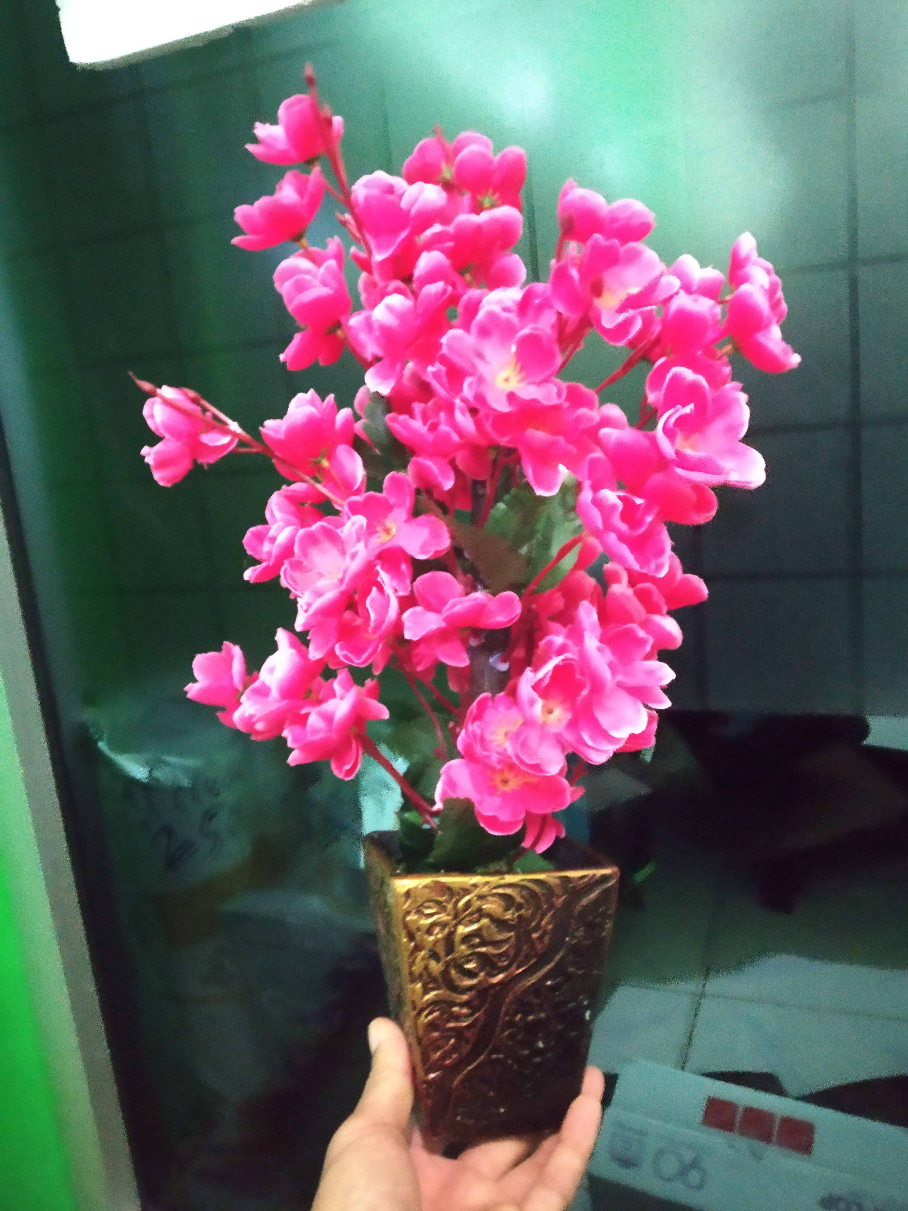 Bunga sakura