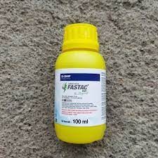 FASTAC 100ML