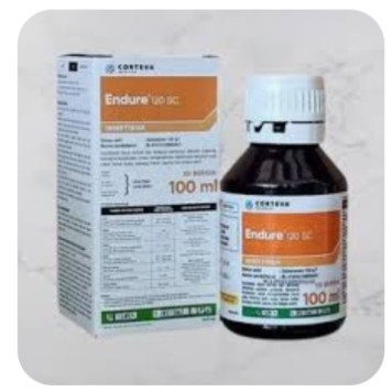 Endure 100 ml