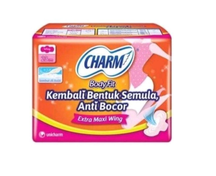 Charm sayap