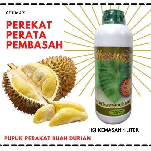 Pelekat
