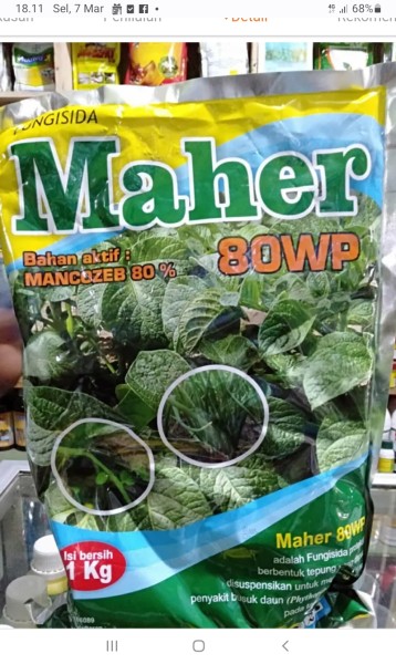 Maher kuning