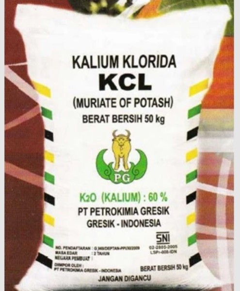 PUPUK KCL 50KG