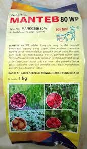 manteb 1 kg