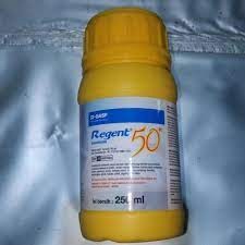 REGENT 250ML