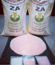 Pupuk ZA