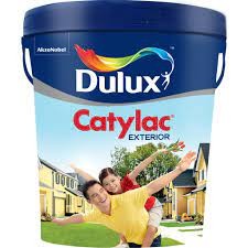 cat catylac