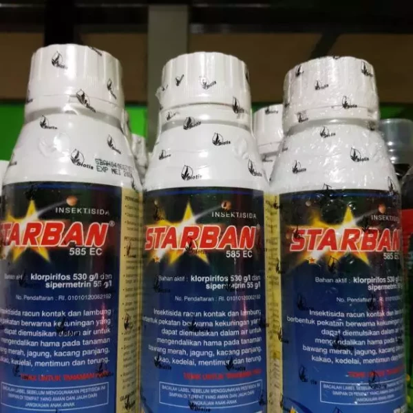 Starban 585ec