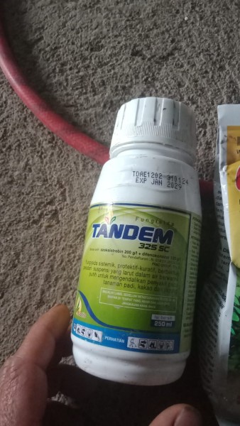 Tandem