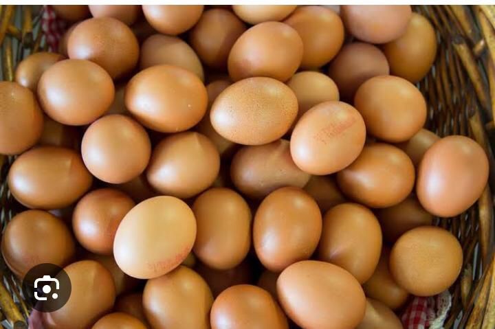 telur 1kg