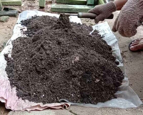 Pupuk Kompos 20kg/Kantung