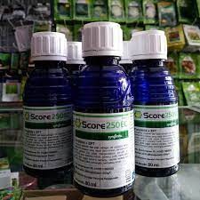SCORE 100ML