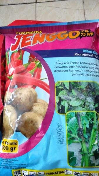 JENGGO TE 75wp