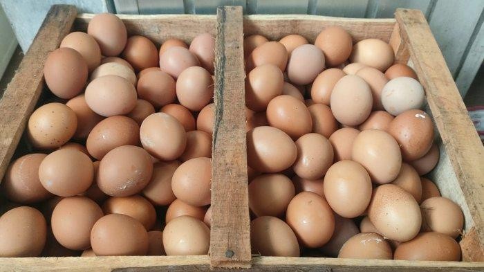 telur per 1 kg