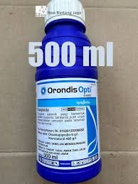 Orondis