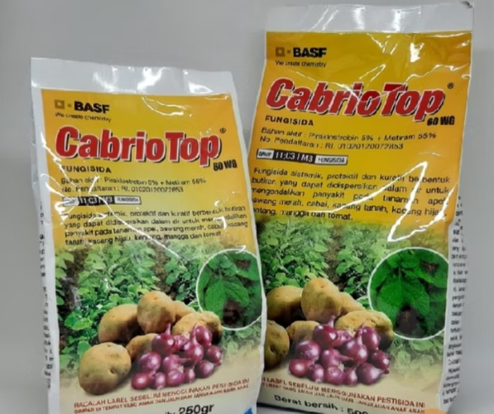 Cabrio top