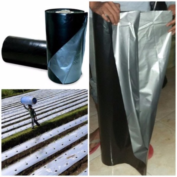 PLASTIK MULSA SILVER 1KG