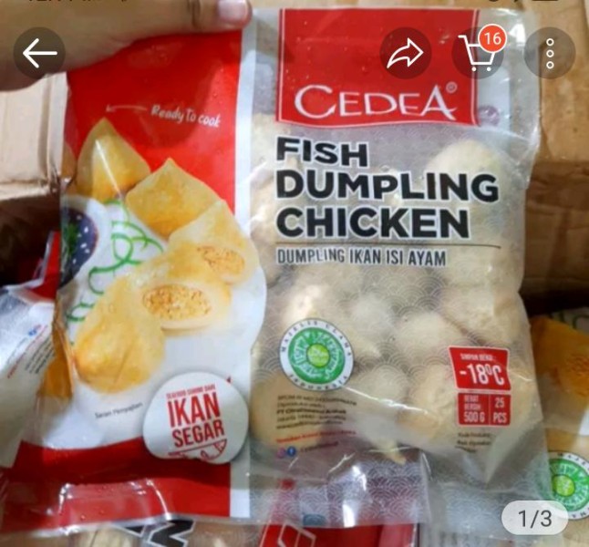 dumpling chicken